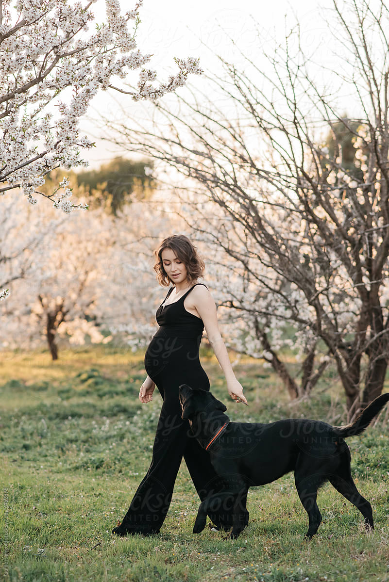 Stylish pregnant woman strolling with dog