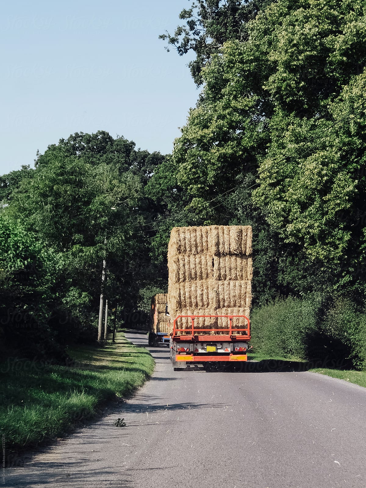 Two lorries transporting straw bales along a narrow country road