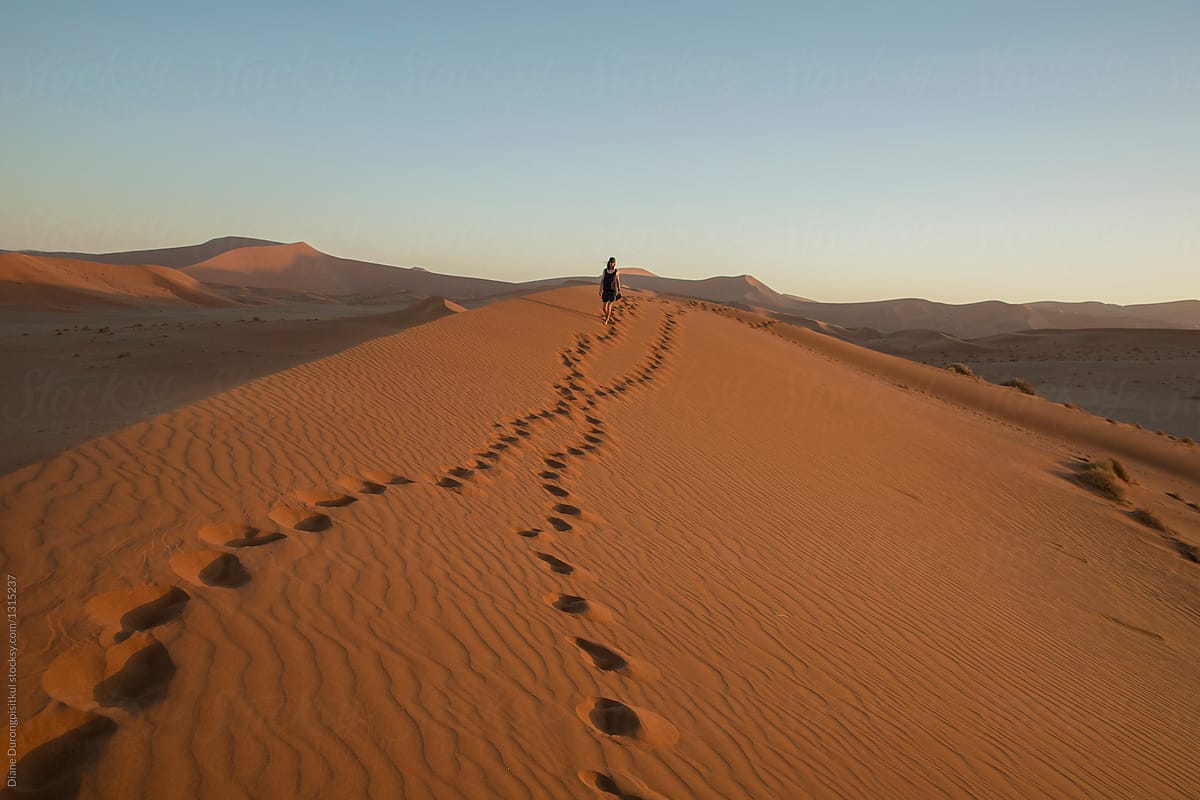 Sand Dune Tracks