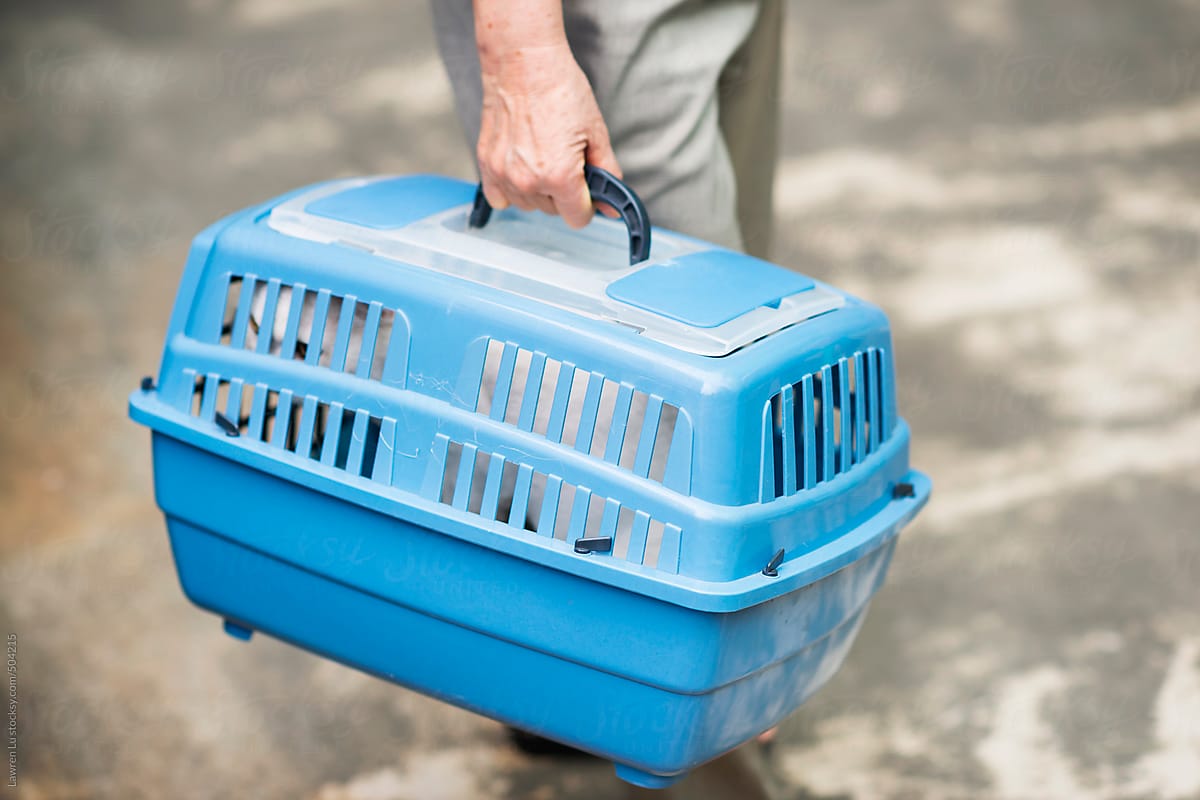 Old man carrying blue plastic cage with white cat