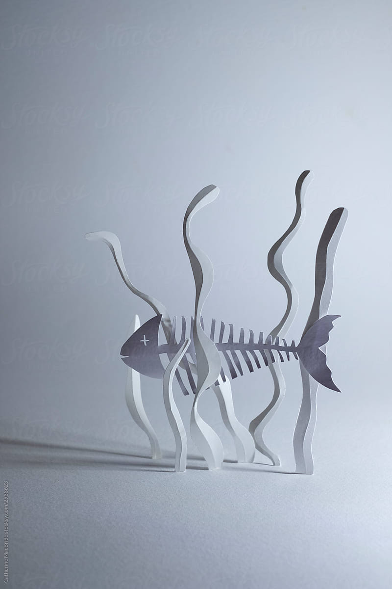 Paper craft sculpture of fish skeleton and bleached coral