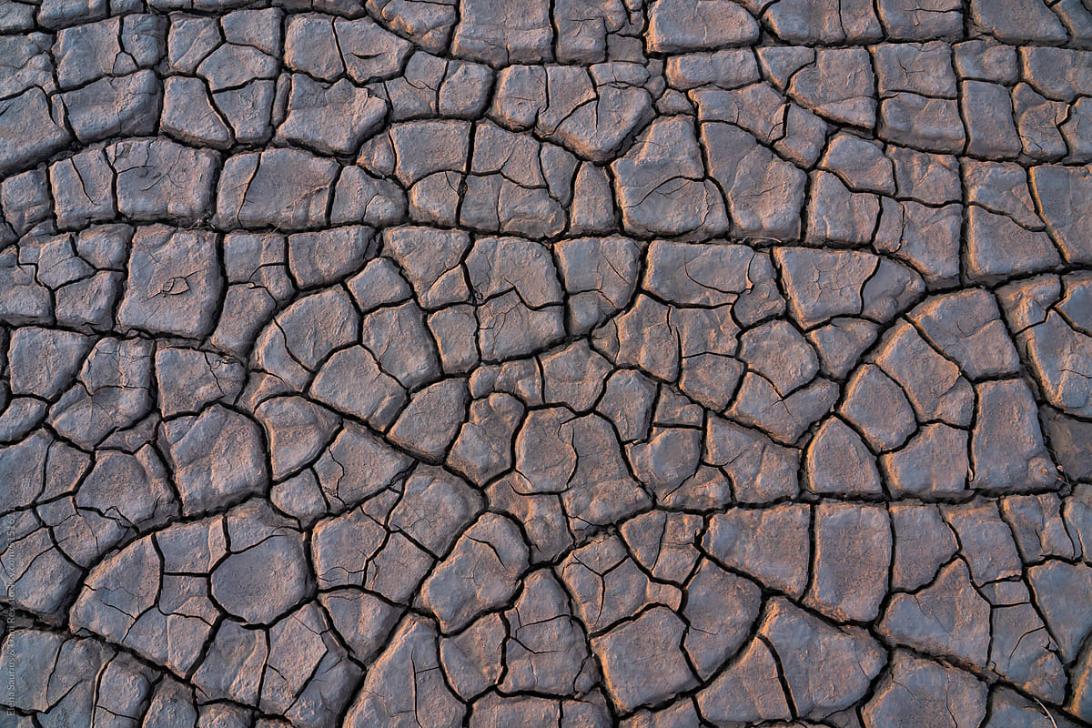 Dry ground textures in Namib desert, Namibia, Africa