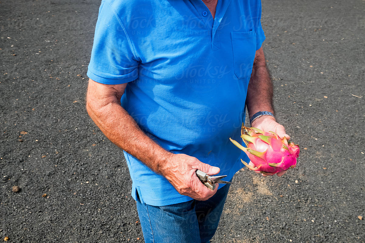Close up of a man holding a dragon fruit