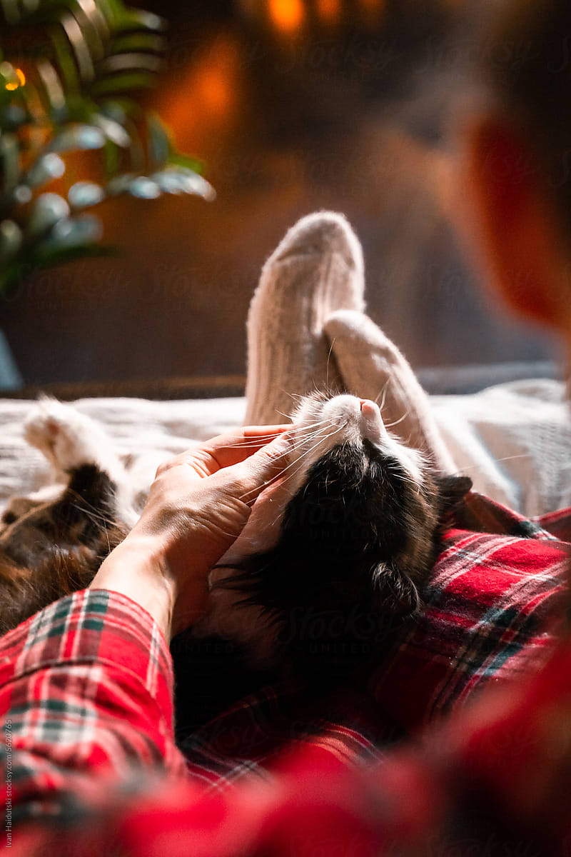 black fluffy cute pet cat on female legs in red checked pajamas.