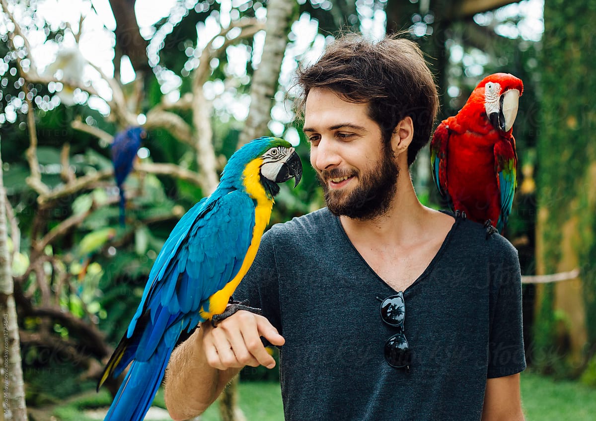 Young man with two birds colorful parrots