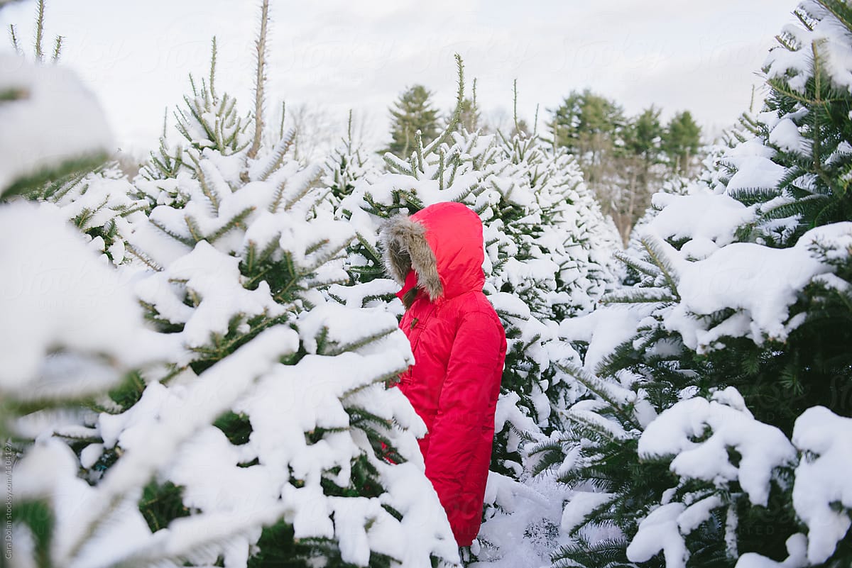 Family picks out their Christmas tree at the farm