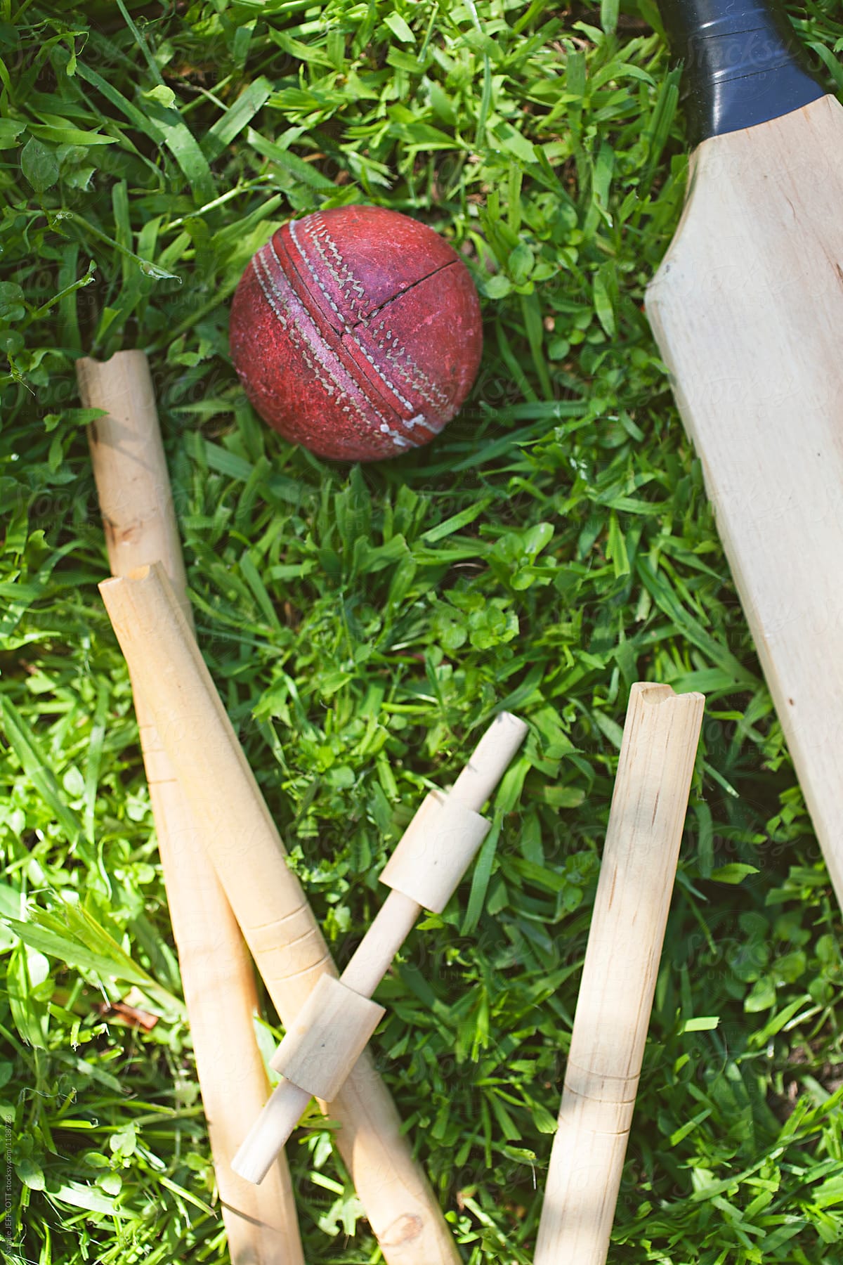 backyard cricket in Australia - bat, wicket and stumps on grass