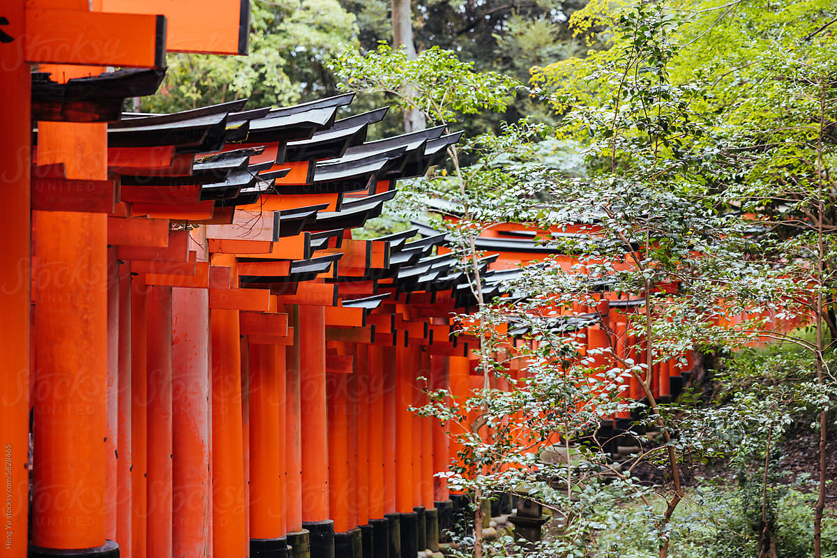 Sunlit Sanctuary: Torii Corridor at Fushimi Inari