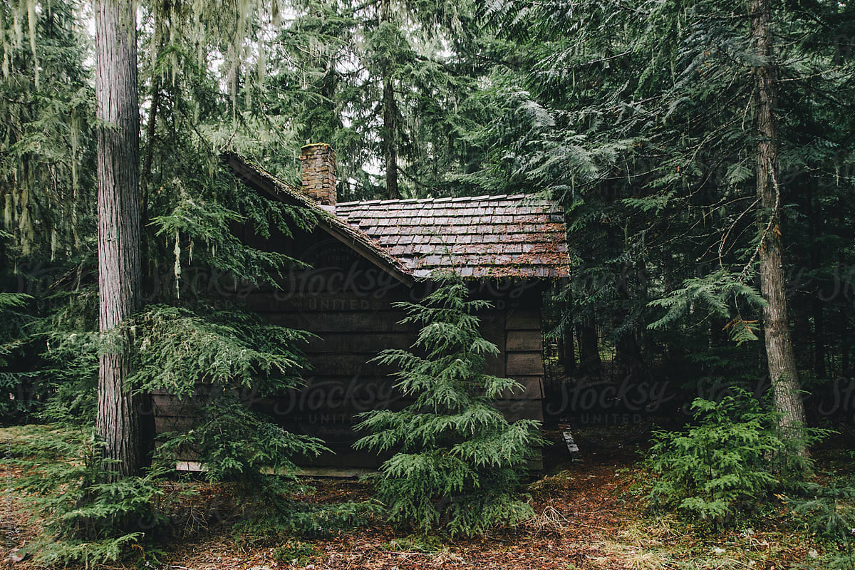 Abandoned Cabin In Forest By Stocksy Contributor Justin Mullet