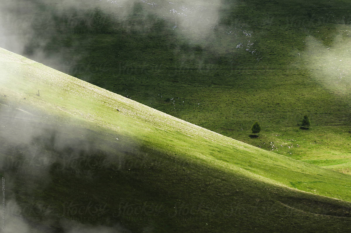 Green meadow in spring with fog