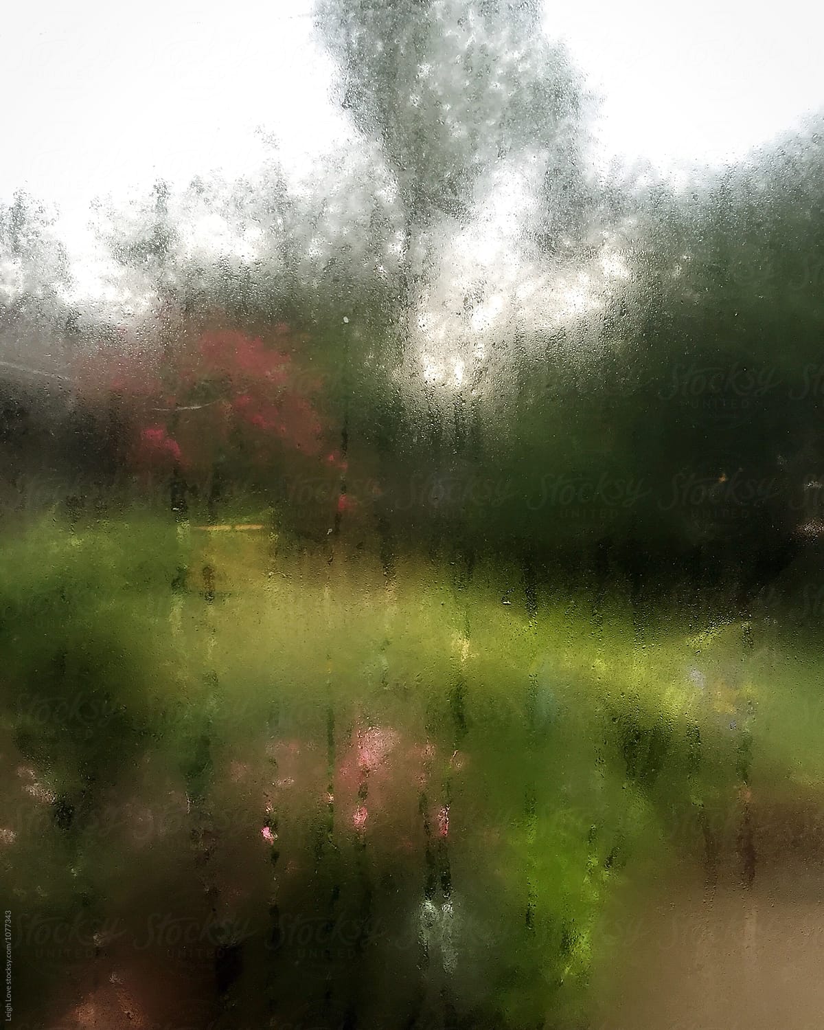 Looking Out Through A Fogged Up Window