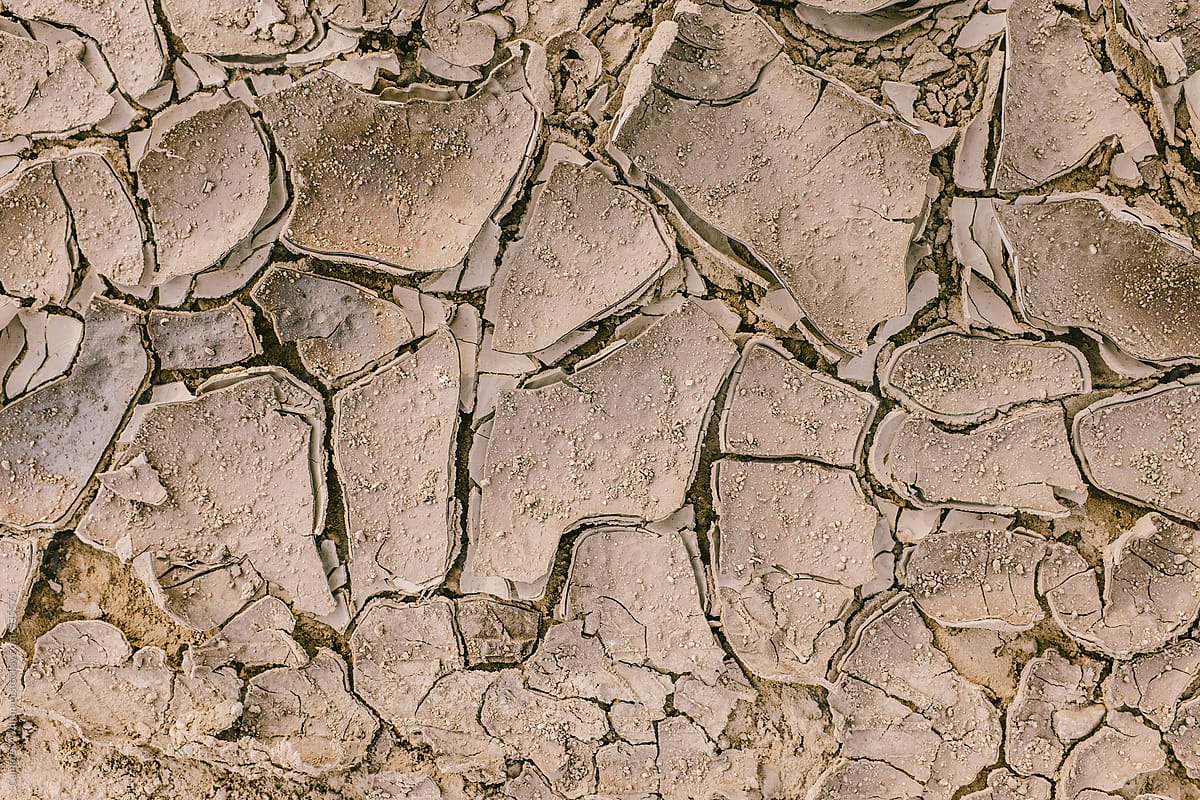 Dried mud background texture
