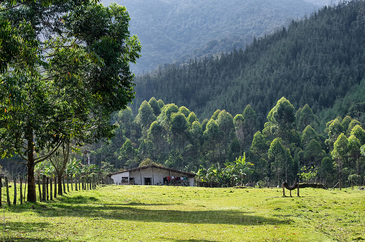 Typical Colombian rural house