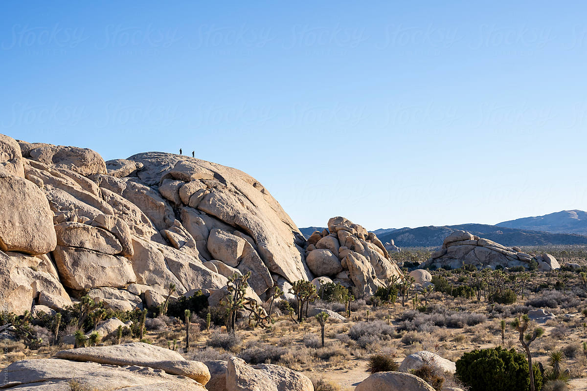 Tourists on top of boulder in Joshua Tree