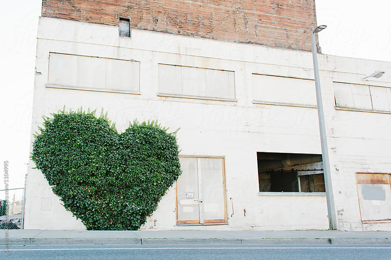 heart shaped ivy on side of abandoned building