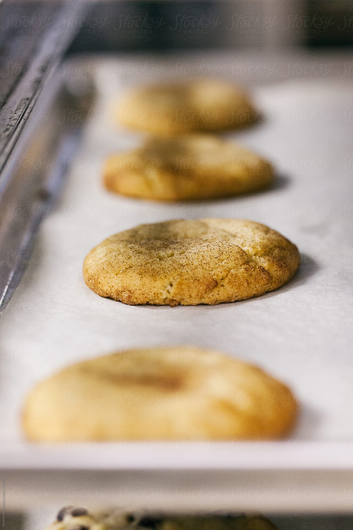 Bakery: Row Of Snickerdoodle Cookies On Tray