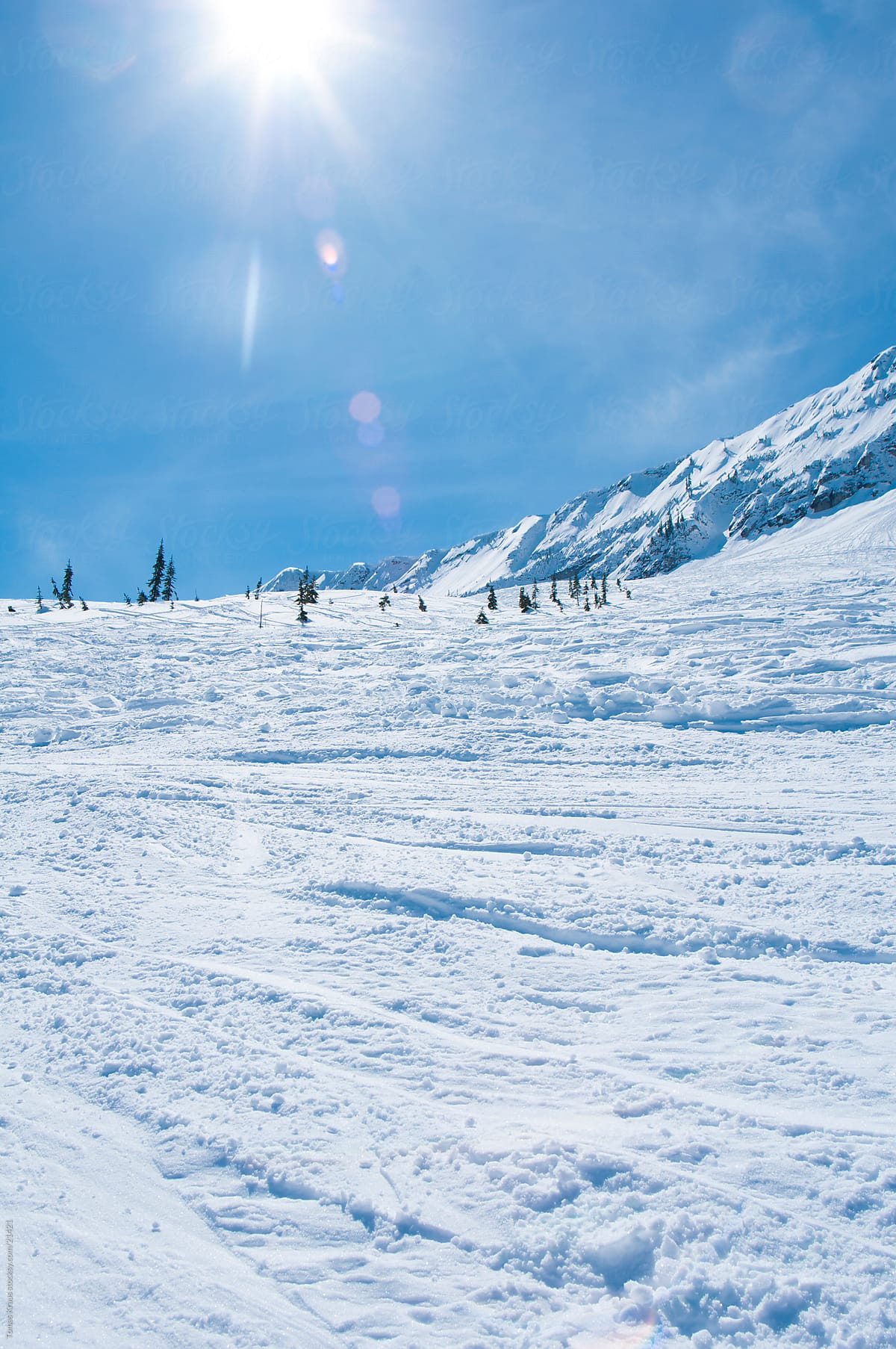 ski hill at Fernie mountain in winter
