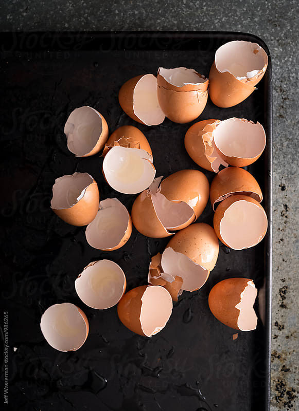 Brown Eggs Shells