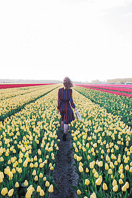 Pink Tulips by Stocksy Contributor Jovana Rikalo