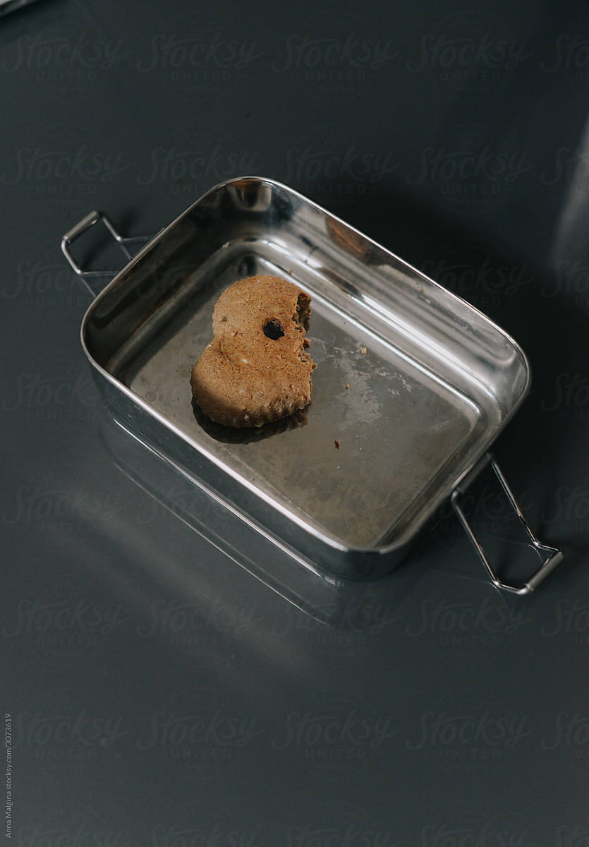 Solitary Cookie on a Metal Tray