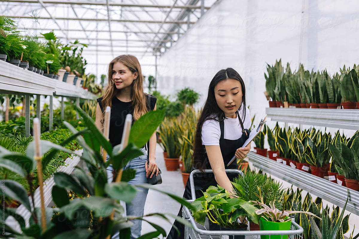 Female customer enjoying choosing plants in  market