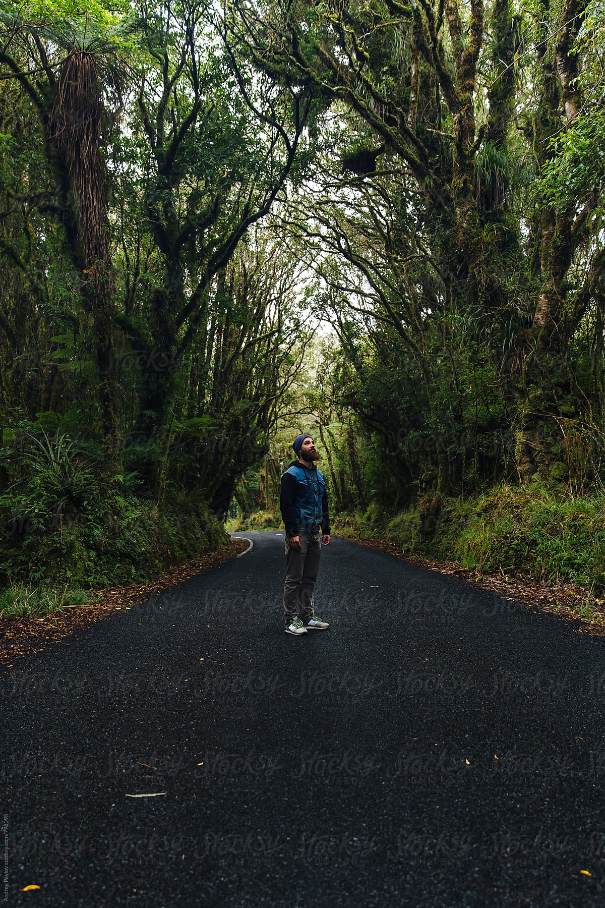 Man standing alone on secluded road in rain forest