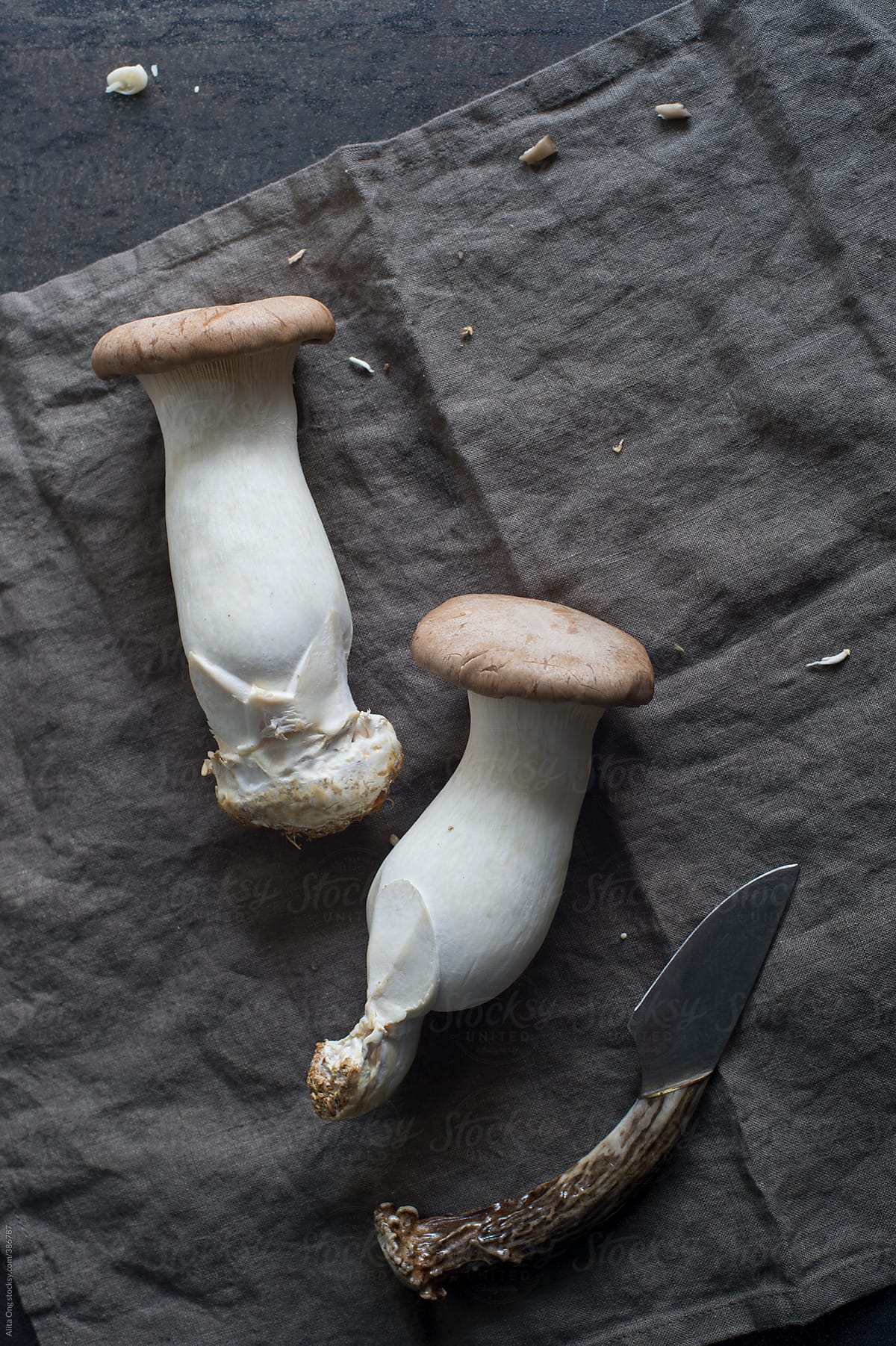 "King Oyster Mushroom" by Stocksy Contributor "Alita ." - Stocksy