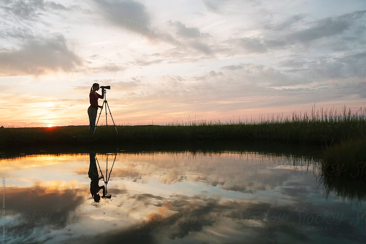 Silhouette of  Woman With Binoculars Bird Watching on Marsh