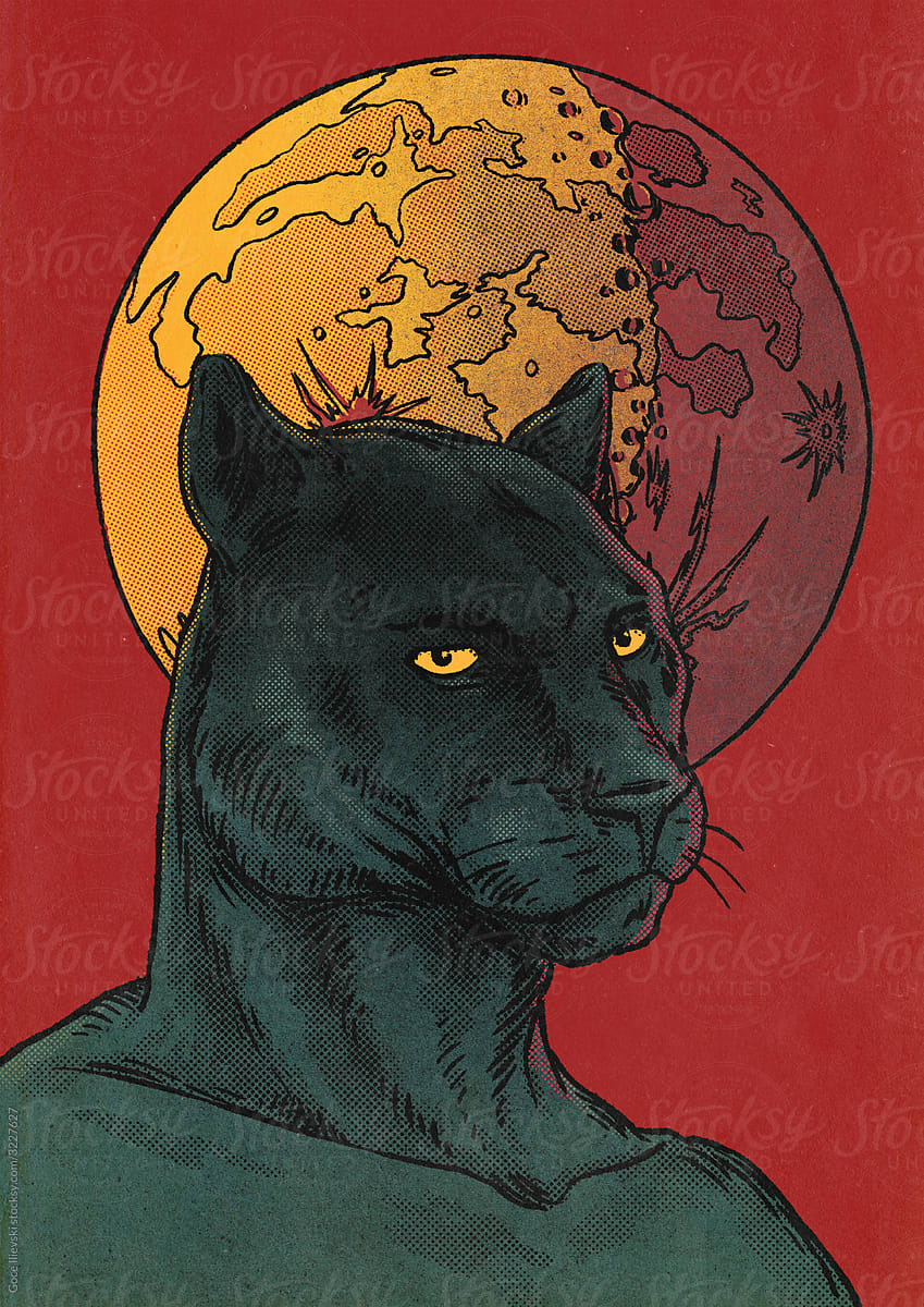 Black Panther And Moon Illustration