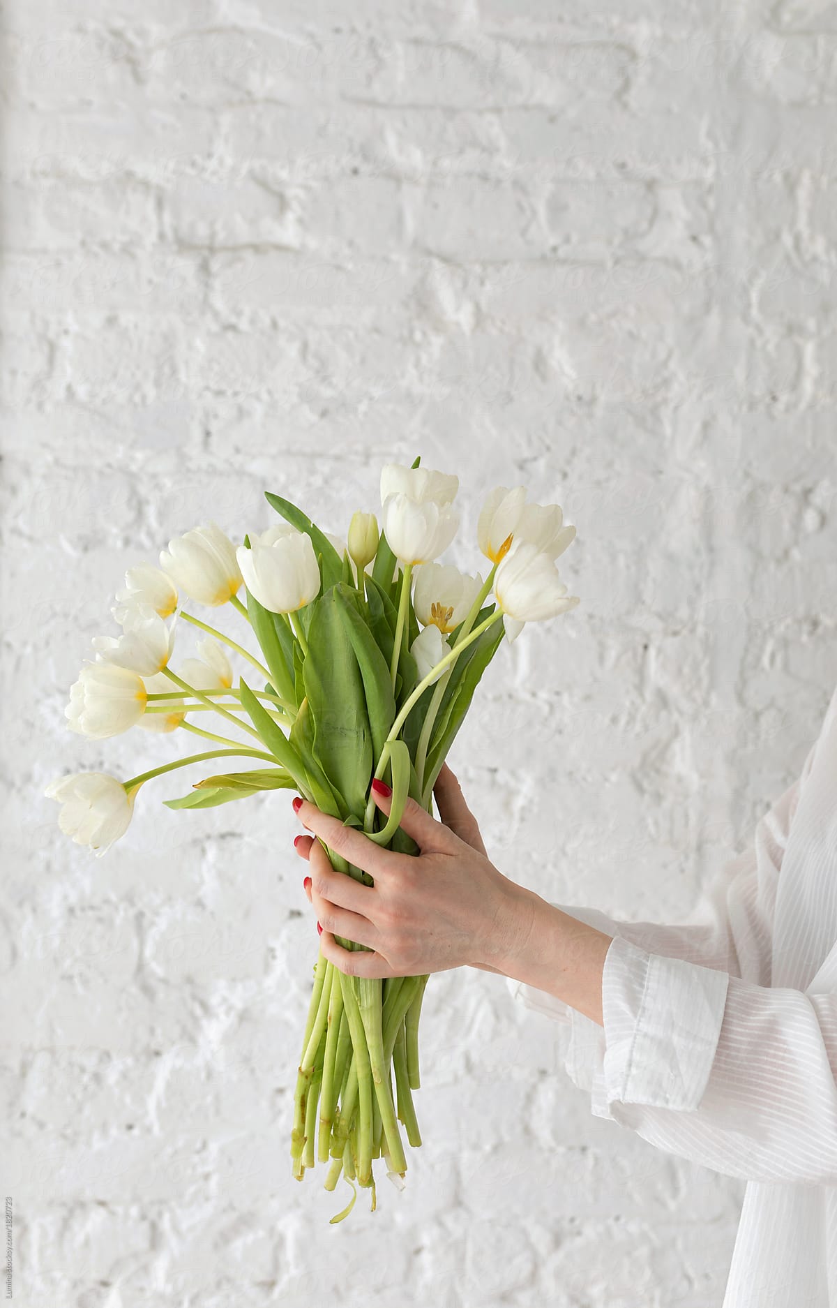 Woman Holding Tulips Bouquet