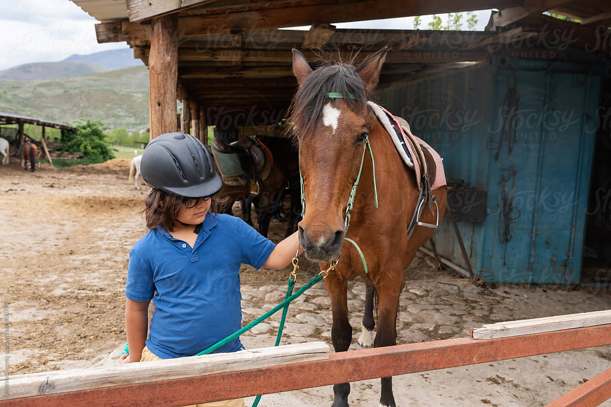 Charming kid caressing an horse at stable