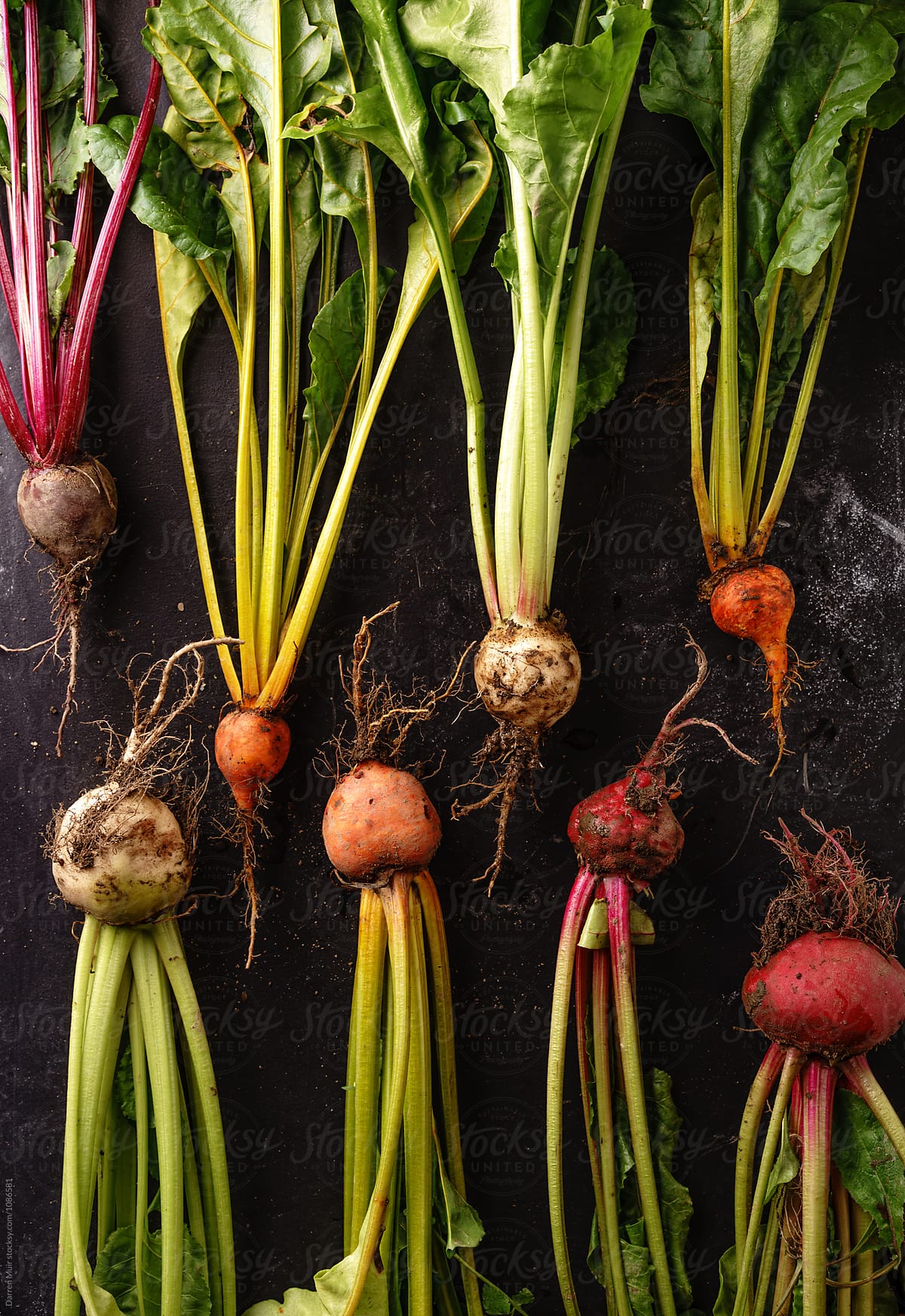 Various types of fresh beetroot on a dark background.