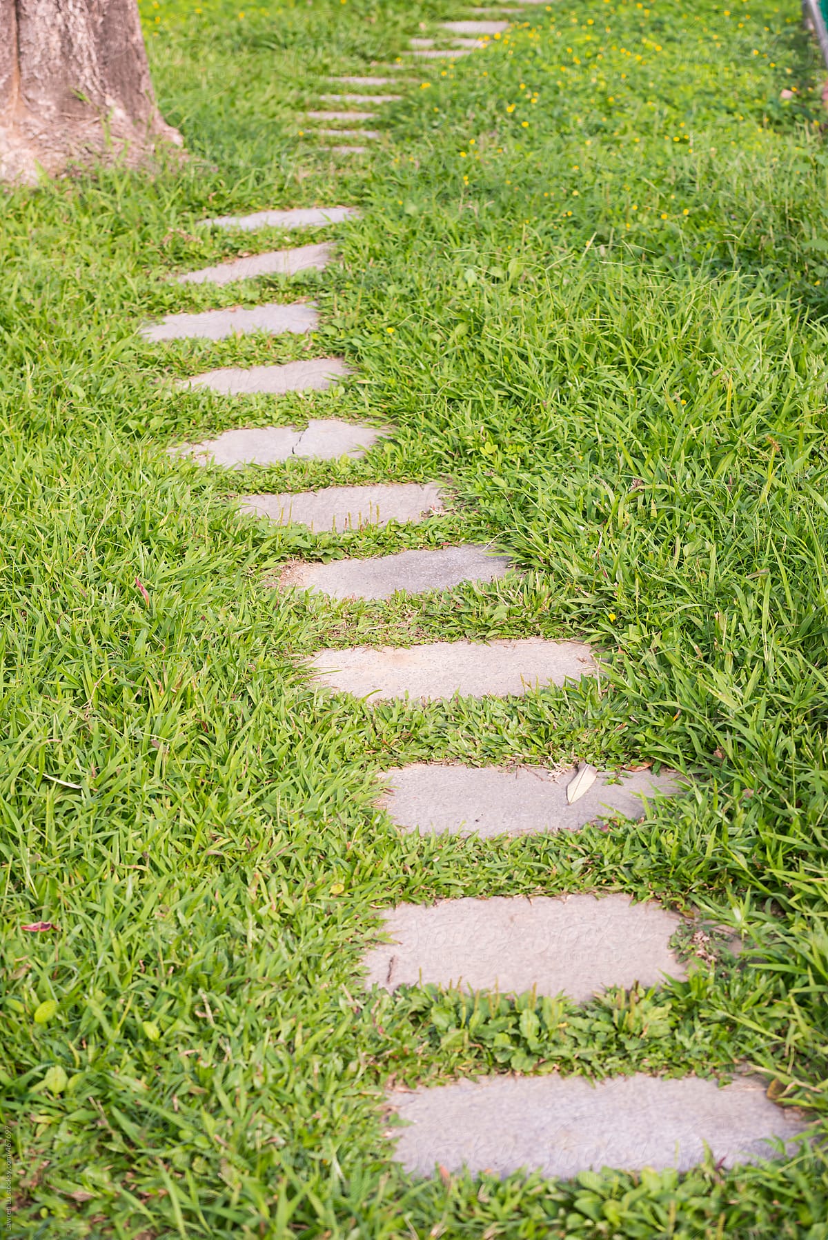 Paving stones crossing a green grassy lawn
