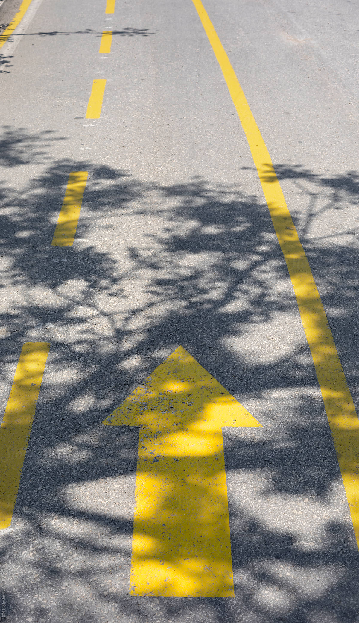 Yellow arrow marking on bicycle track