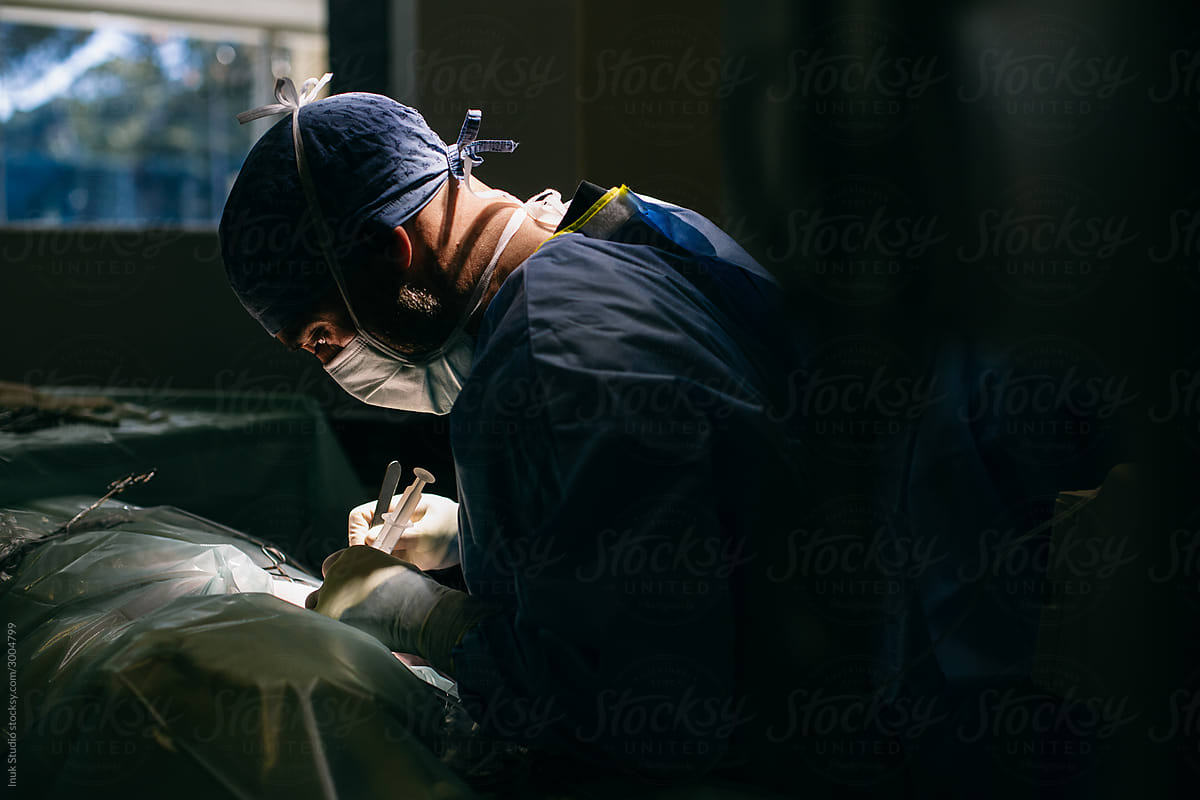 Male veterinary making injection during surgery