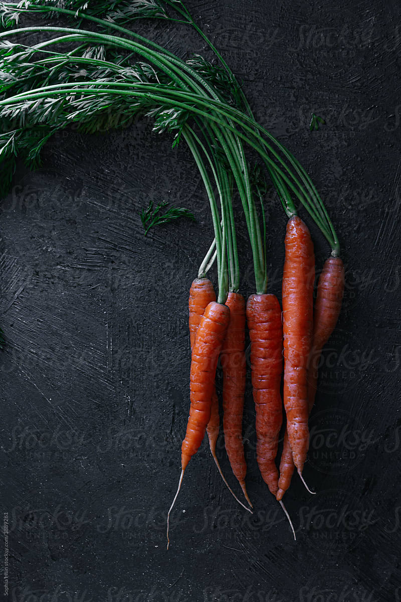 Bunch of carrots on dark background