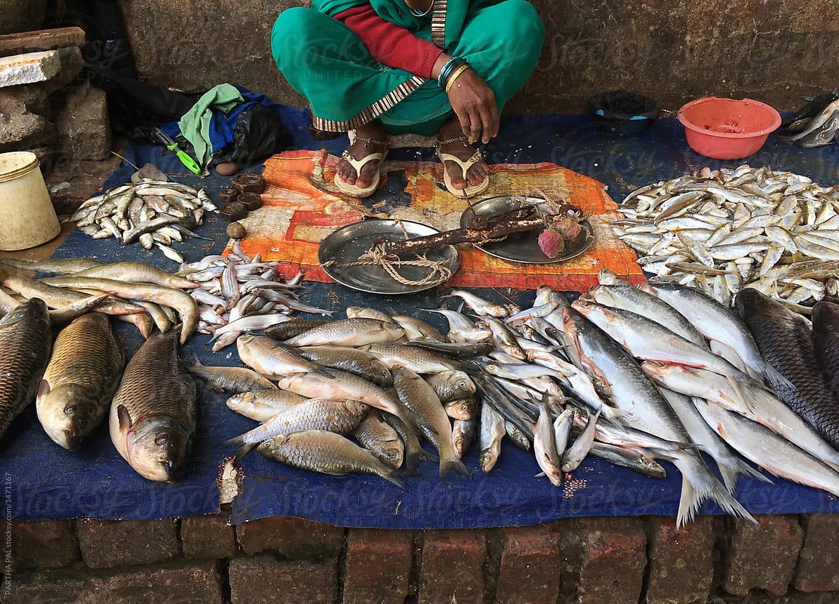 Woman selling raw fishes in market