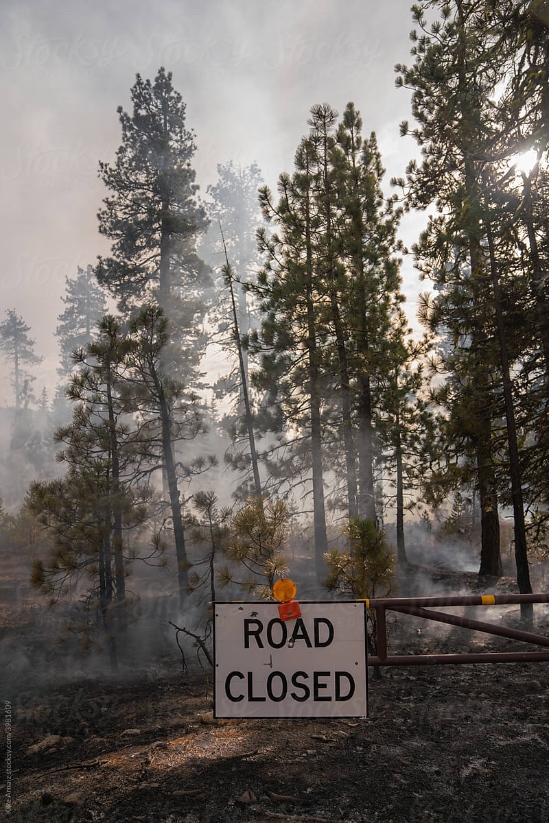 Road closed sign near forest in smoke