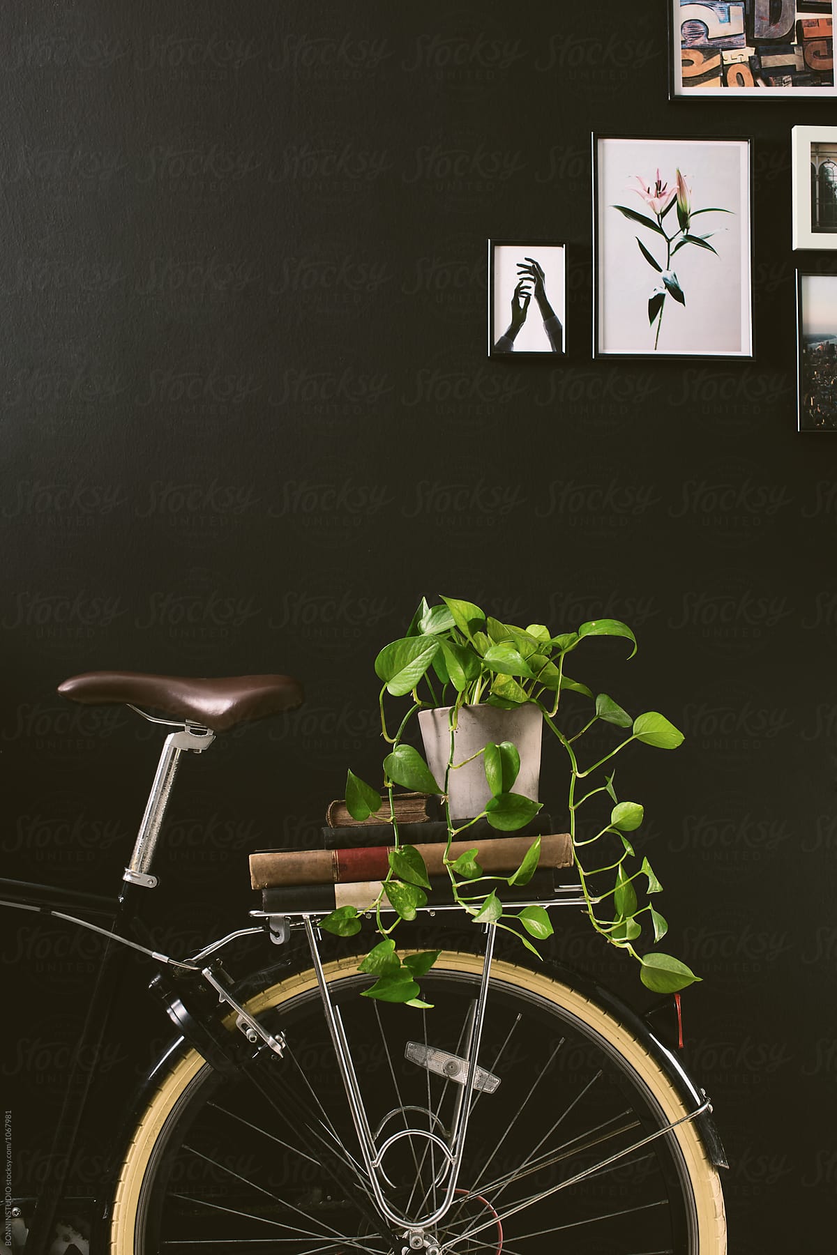 Closeup of a bicycle holding books and a plant on black wall.