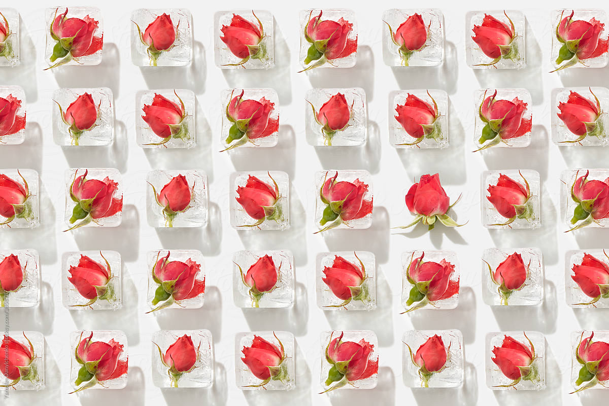 Pattern of roses in ice cubes