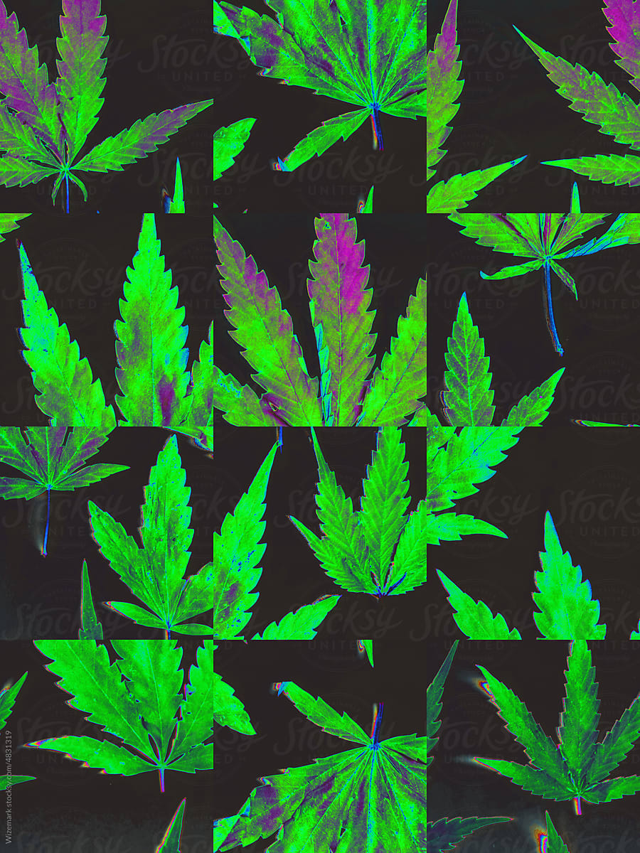 Chopped marijuana, cannabis with pixel glitch effect background