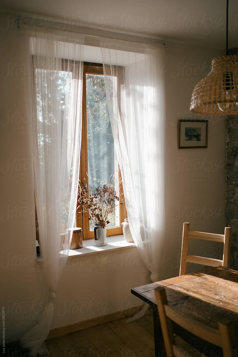 light shining through fresh windows with lace curtains
