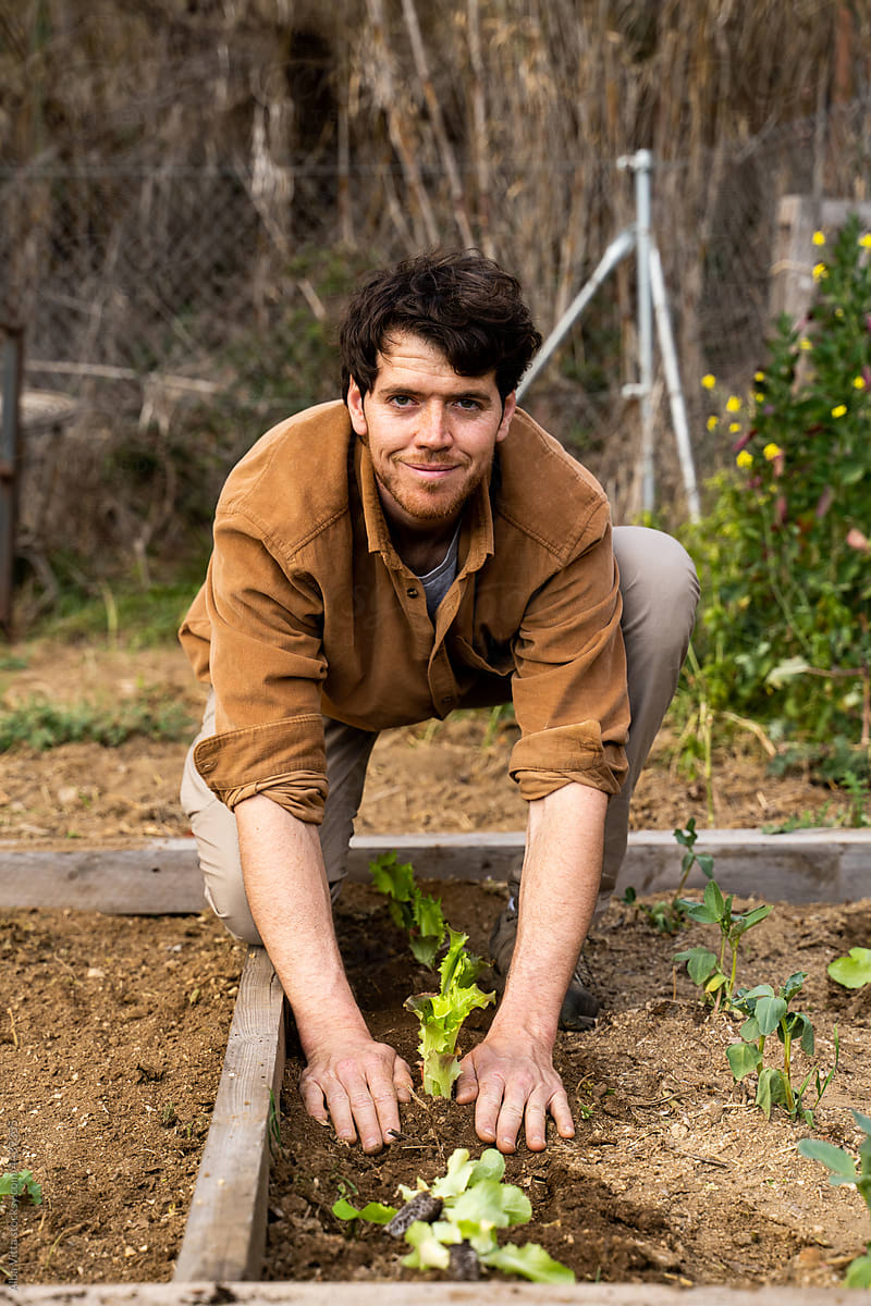 portrait of Young confident  man planting vegetable plants on garden