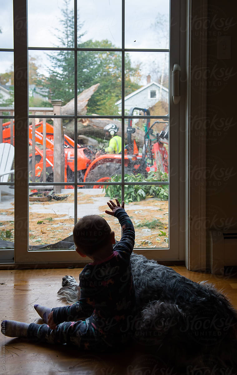 Toddler and Dog Watch Tree Workers