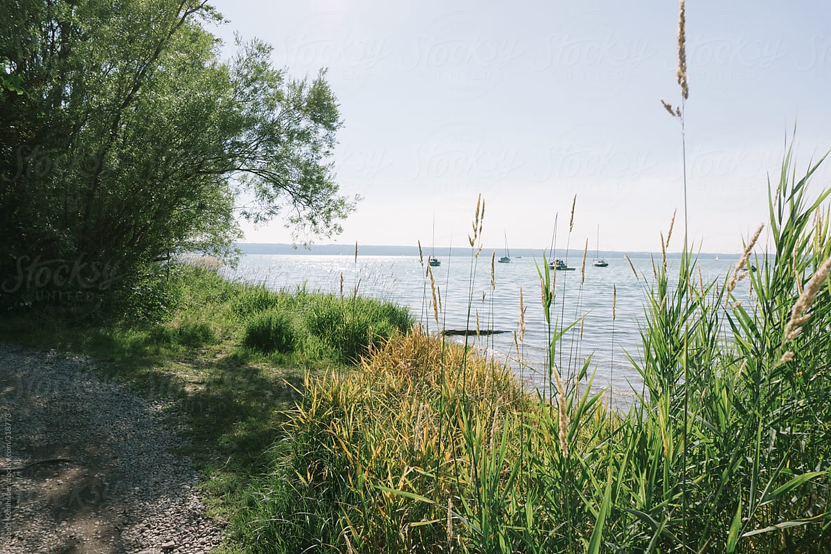  Lake Scenic By Stocksy Contributor Robert Kohlhuber Stocksy
