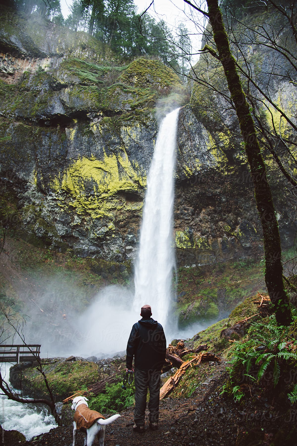 young-man-exploring-a-waterfall-on-a-hike-with-his-dog-by-stocksy