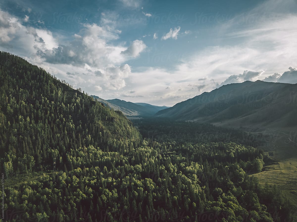 beautiful green and mountainous altai region from above