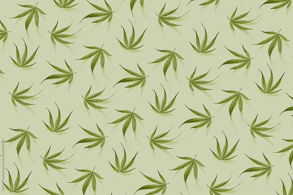 Organic cannabis pattern on green background.