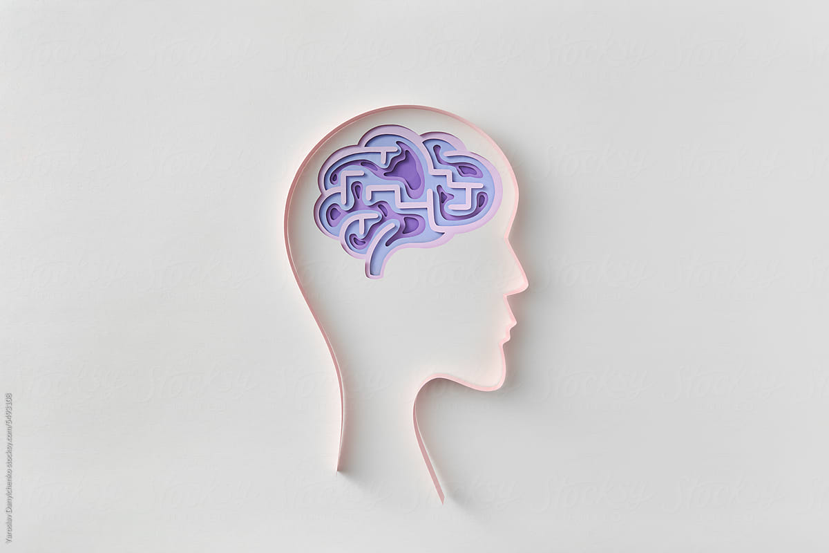 Ppaercraft brain labyrinth in human head