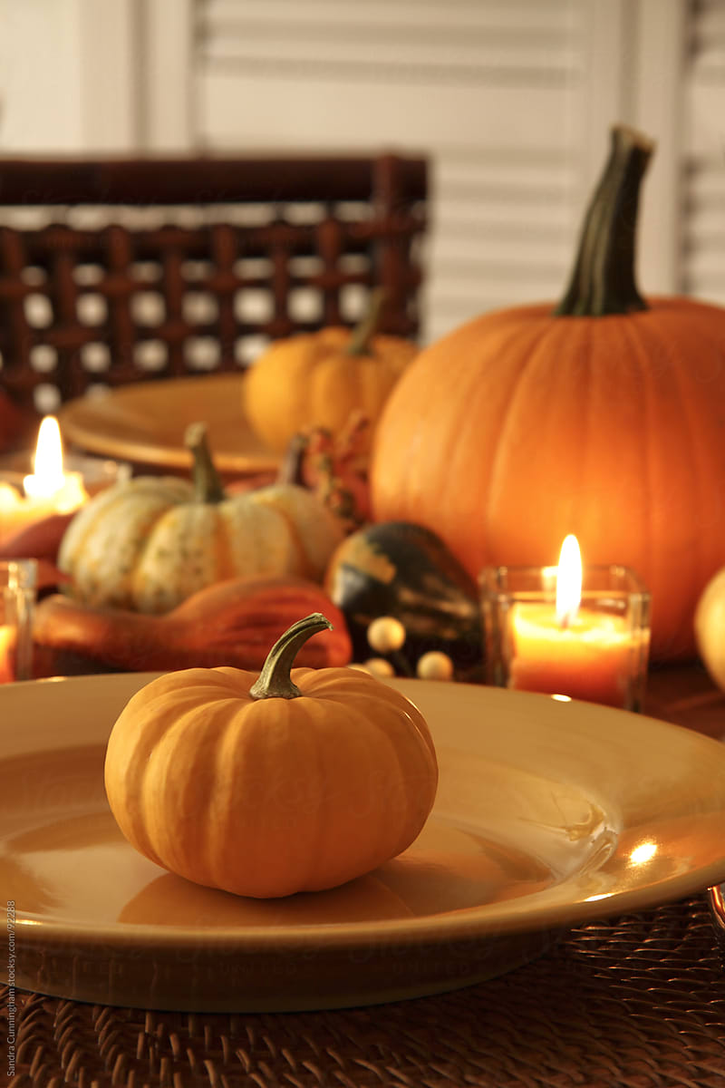 Closeup of  autumn place setting for Thanksgiving